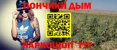 дурь Славгород