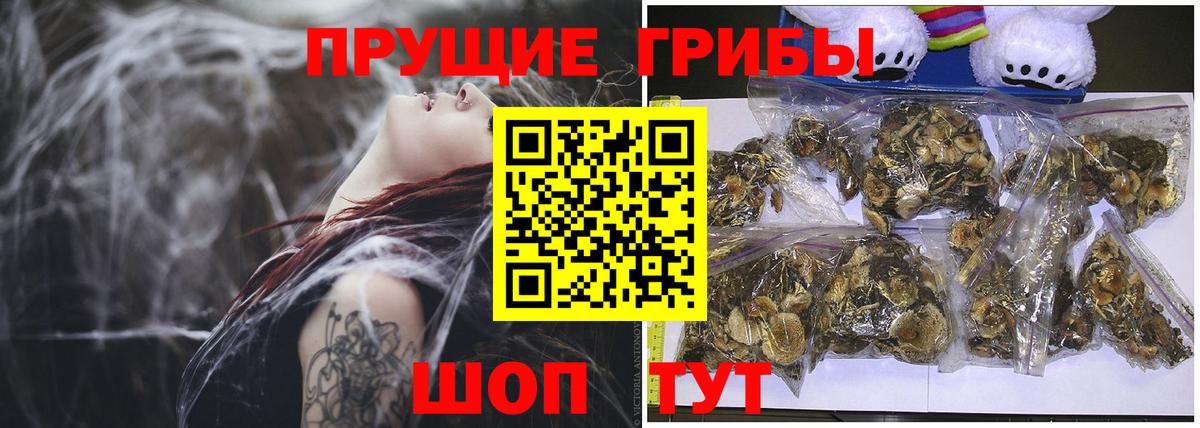 Кунгур  купить закладку  Вход с VPN  Псилоцибиновые грибы Psilocybe  Псилоцибиновые грибы прущие грибы 